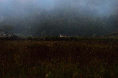 field forest covered in white fog townsend